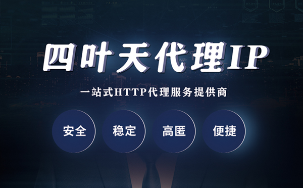 【桐城代理IP】代理ip客户端使用教程